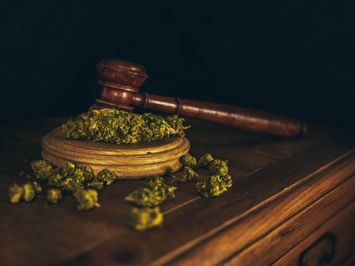 Cease and desist orders given to four unlicensed D.C. dispensaries