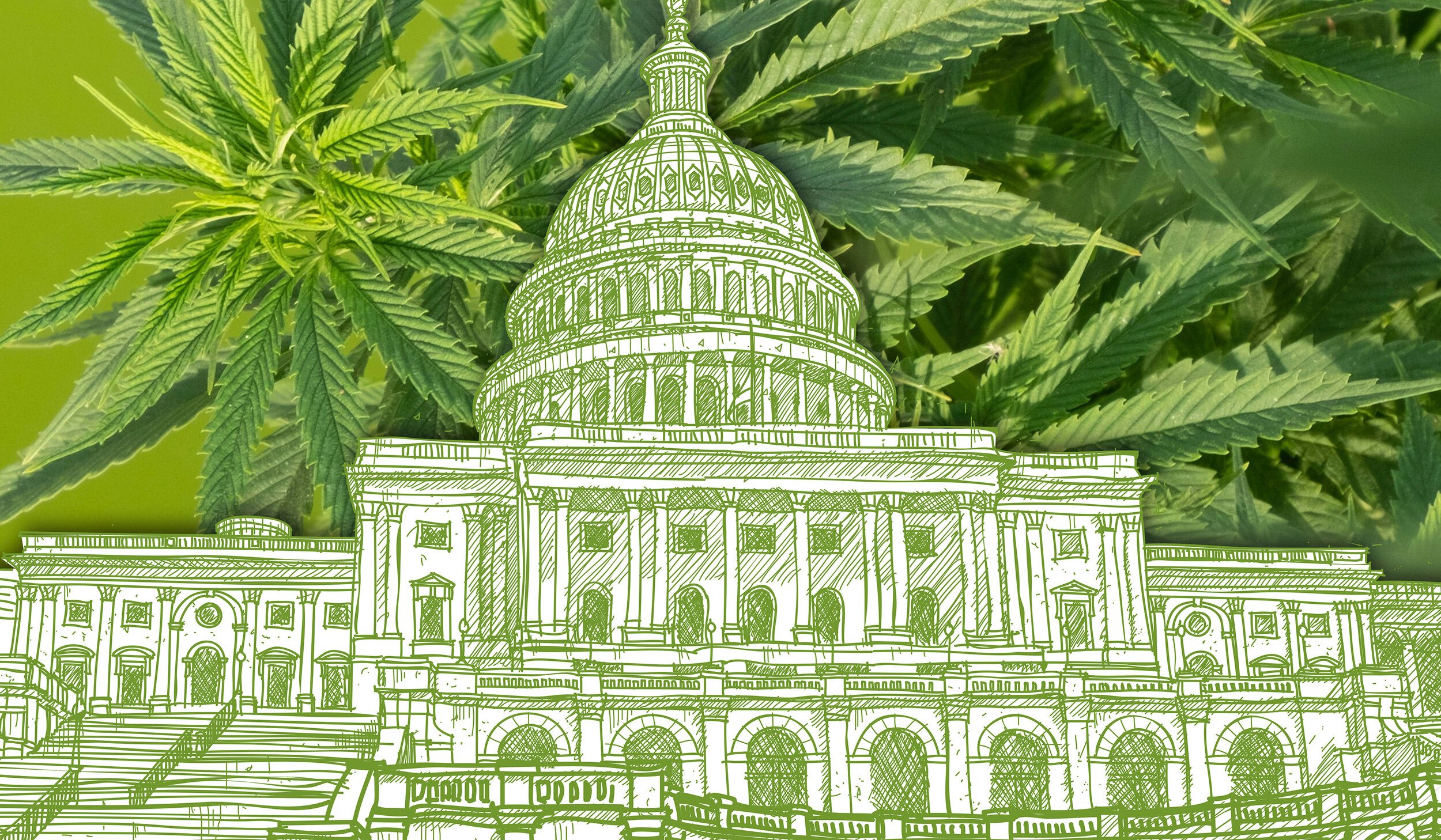 All Eyes Turn To Senate As House Approves Budget That Drops Ban On D.C. Pot Sales