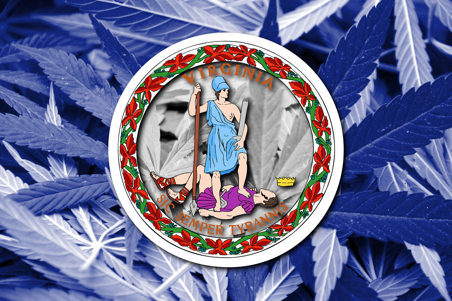 Virginia Decriminalized Cannabis, Now it Considers Legalization and Begins its Medicinal Program