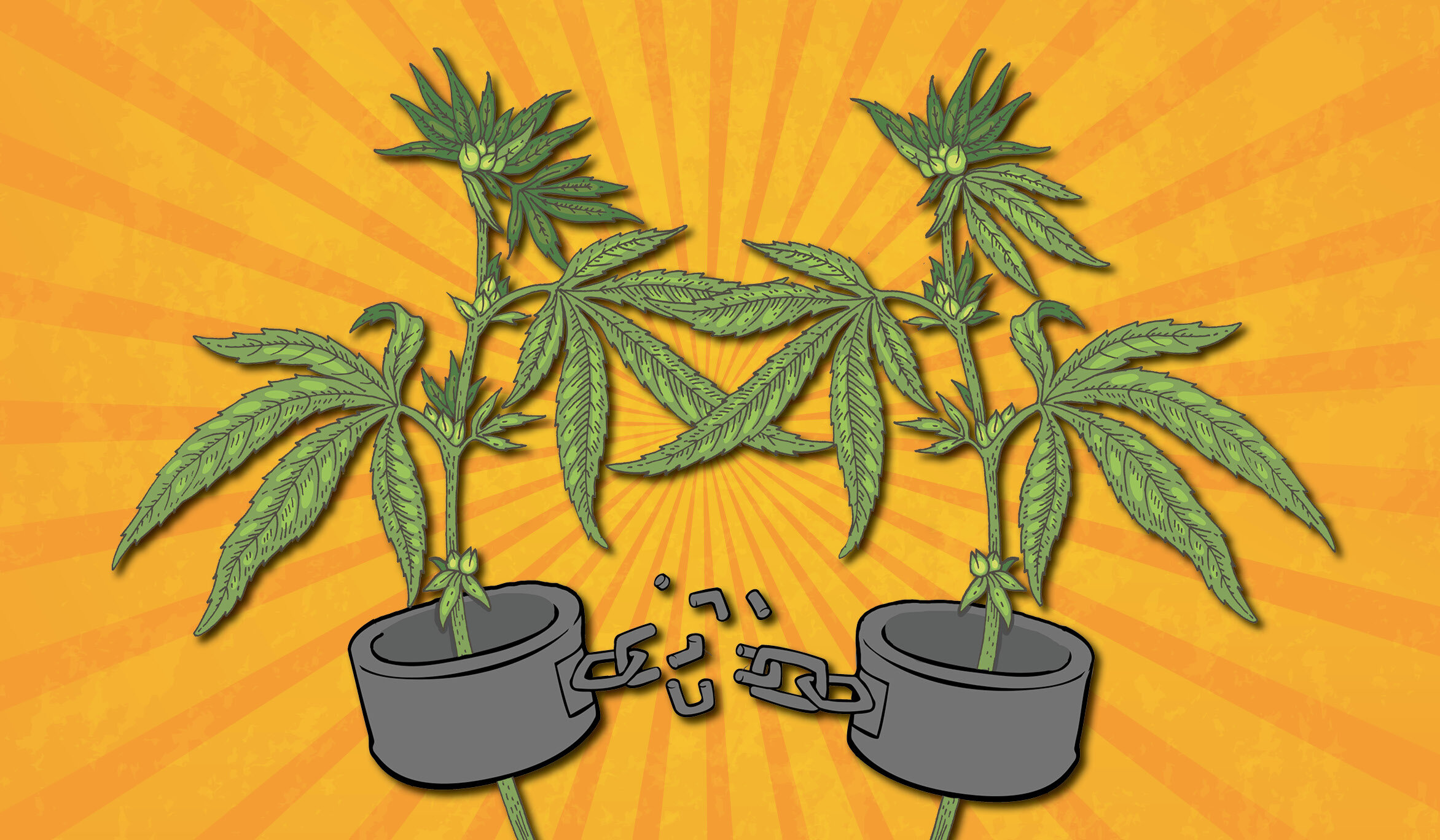 Cannabis Reform And The Justice In Policing Act