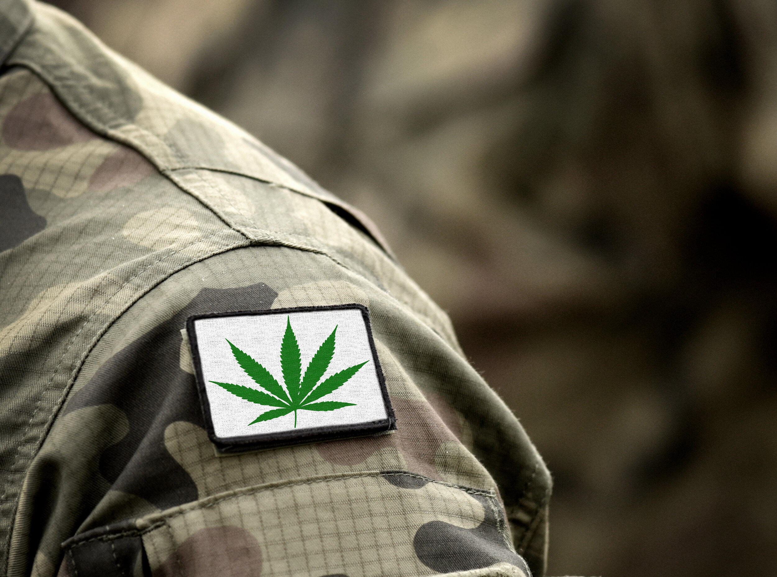 Amendment Would Allow Former Military To Reenlist Even If They Have Used Cannabis