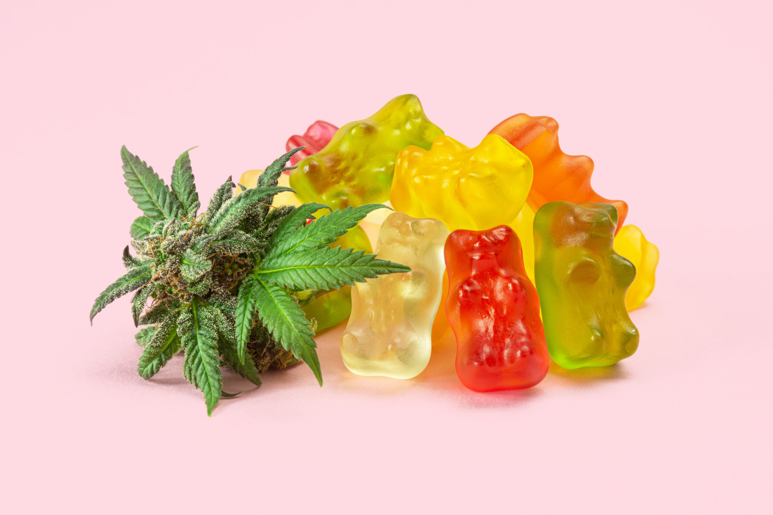 Virginia Lawmakers Propose Ban On Candy-Like Weed Edibles To Prevent Child Exposures