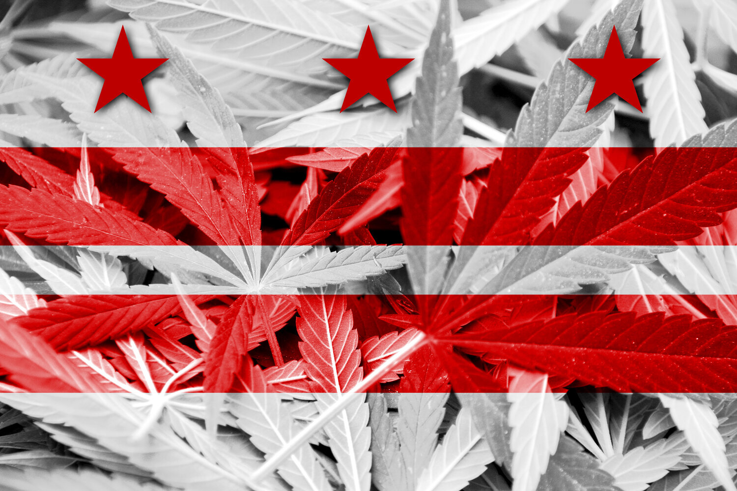 Washington D.C. Medicinal Cannabis Dispensaries Can Now Deliver During COVID-19