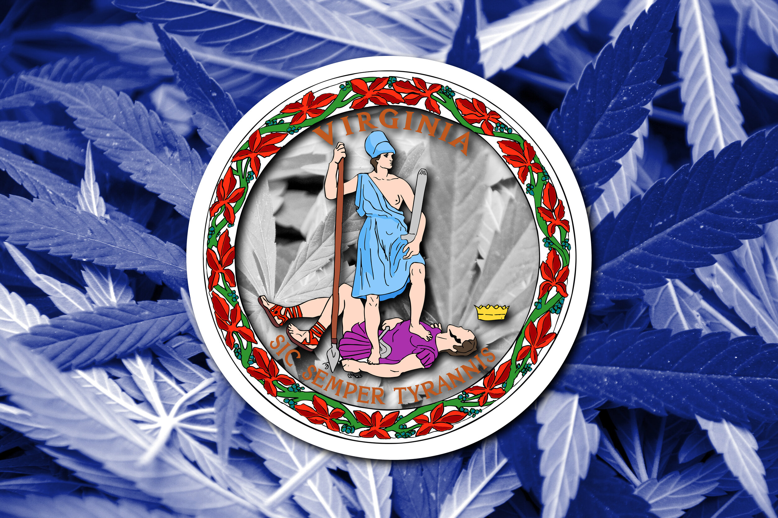 Cannabis Decriminalization in Virginia Likely Due to Several Bills