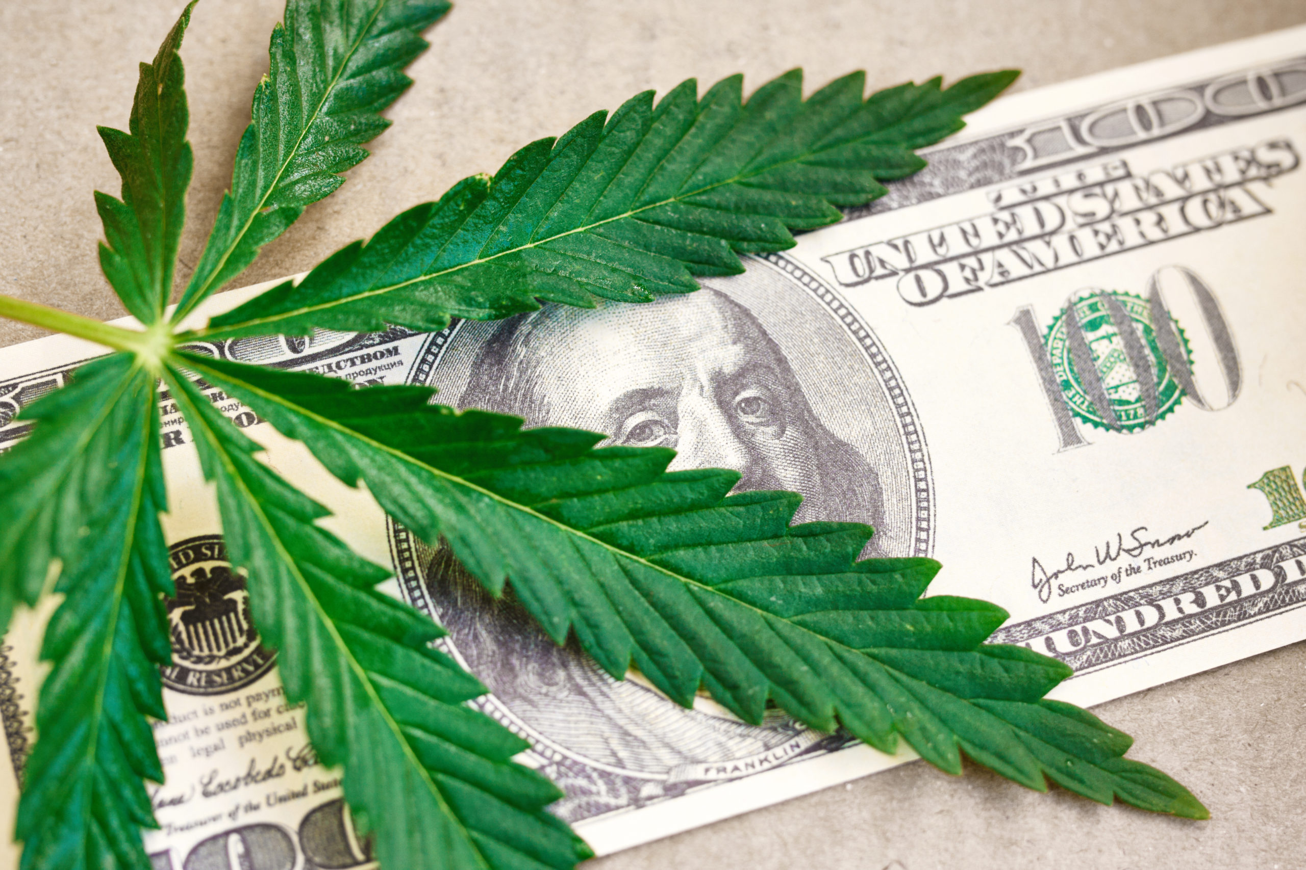 Preliminary D.C. Budget Creates Cannabis Social Equity Fund To Boost Minority Entrepreneurs