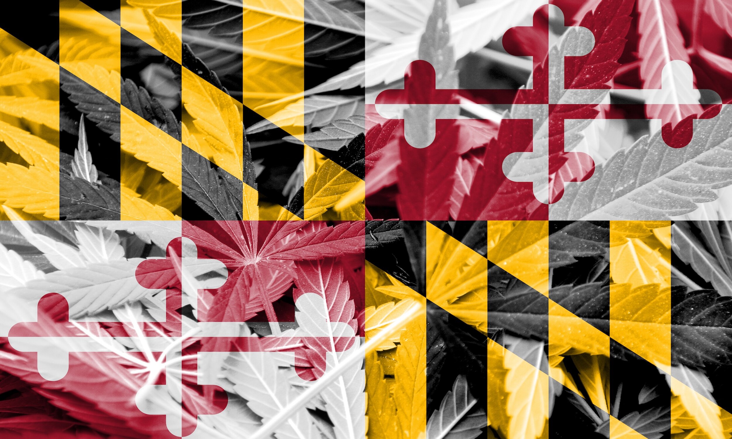 Cannabis Legalization in Maryland a Non-Starter in 2020, But Still Worth Debating