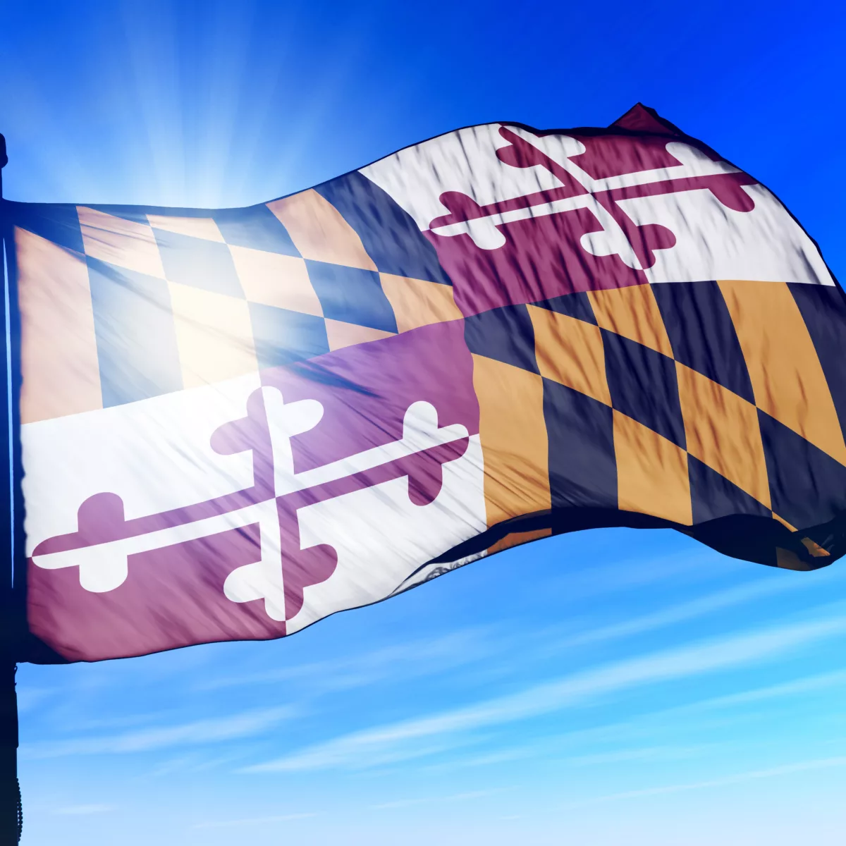 More cannabis workers in Maryland file to unionize