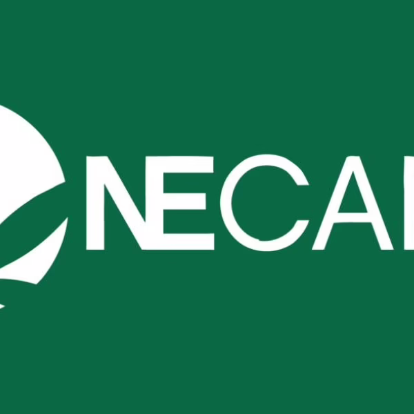 NECANN’s Role in Shaping the East Coast Cannabis Industry